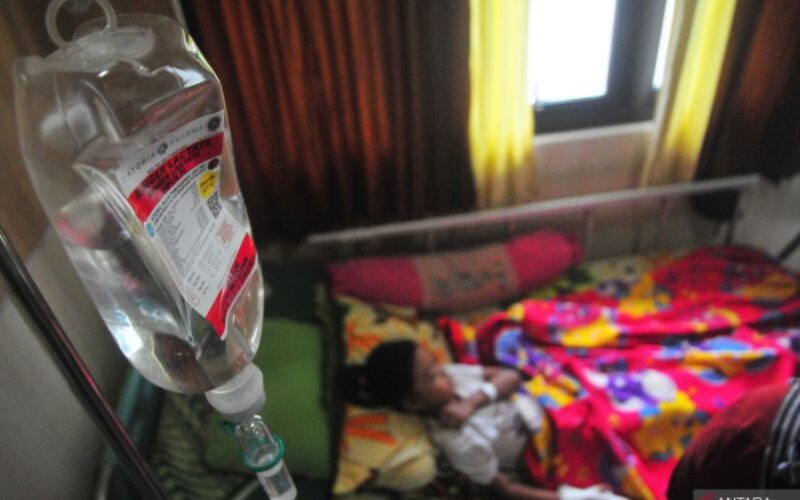Waspadai fase kritis pada pasien demam berdarah dengue