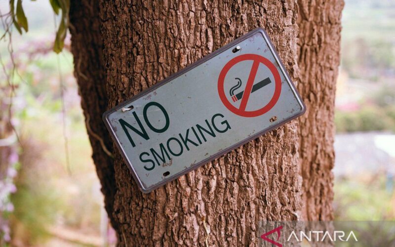 Bahaya asap rokok 20 kali tingkatkan risiko kanker paru