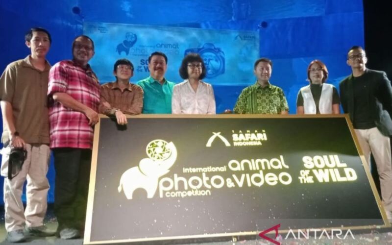 Taman Safari menggelar kompetisi foto dan video satwa IAPVC 2024